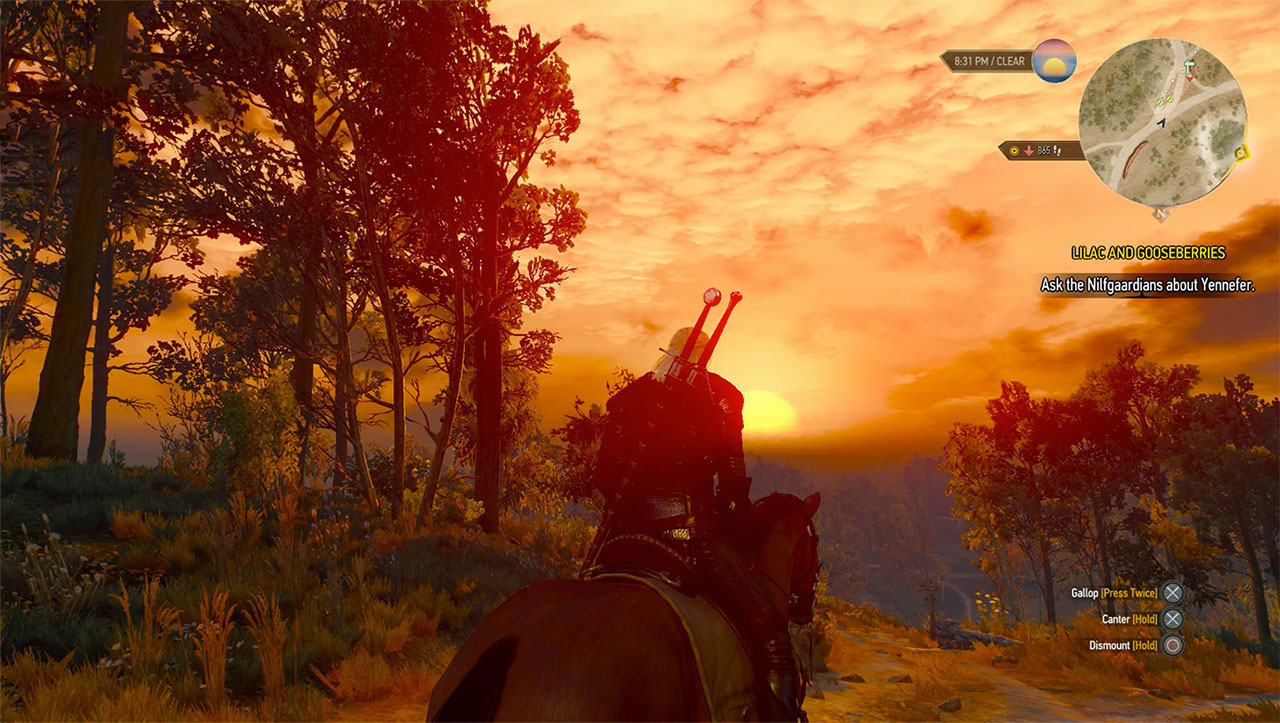 Hud de The Witcher 3